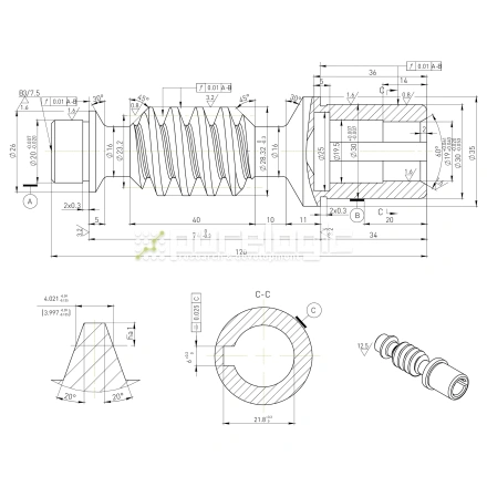 Червячный винт W5030-19 фото