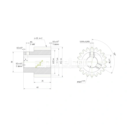Шестерня косозубая GH2-T20D16 фото