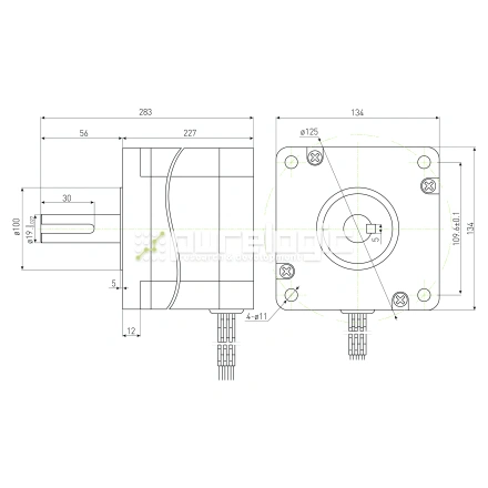 Двигатель шаговый PL130H227-D19 фото