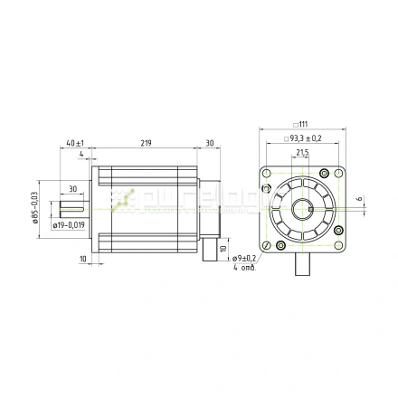 Двигатель шаговый трехфазный 3PL110H219-D19 фото